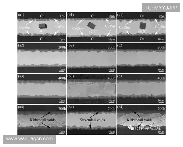 详解ag电子评级在不同游戏类型中的实际应用与评分机制